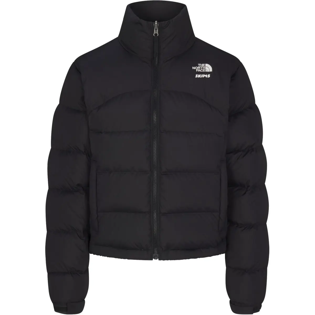 Skims X Tnf 2000 Retro Nuptse Jacket Onyx