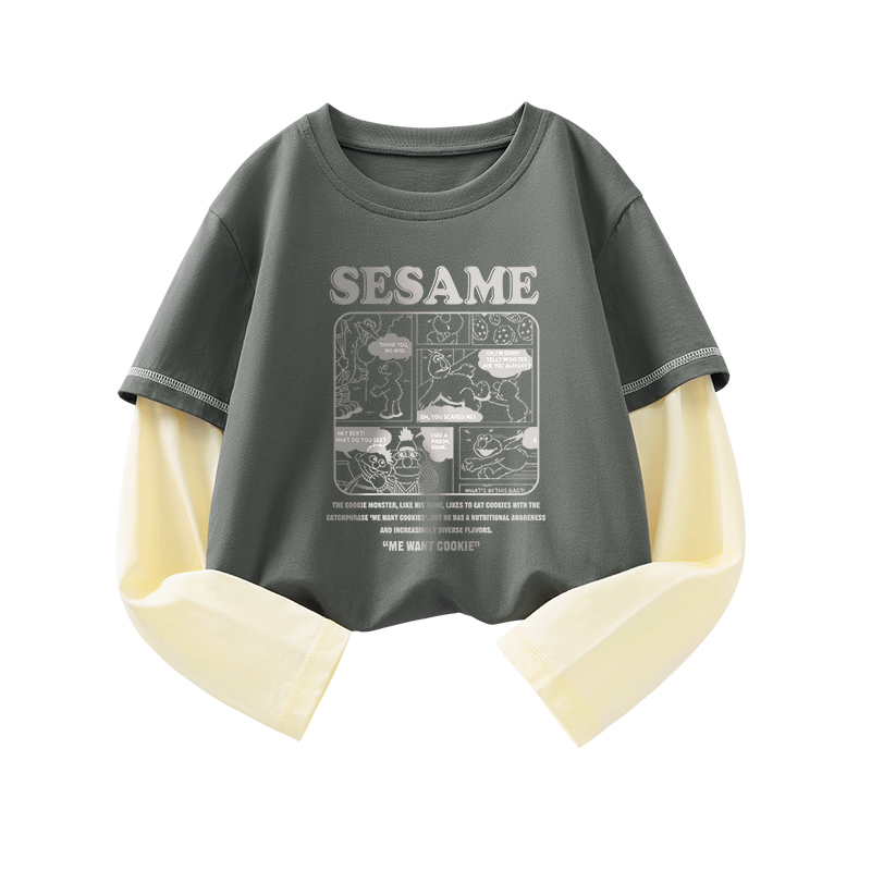 Худи SESAME STREET (серое)