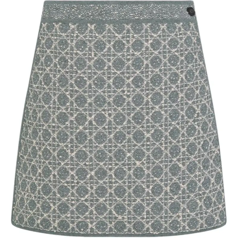 DIOR SS25 Casual Short Skirts Women's Gray