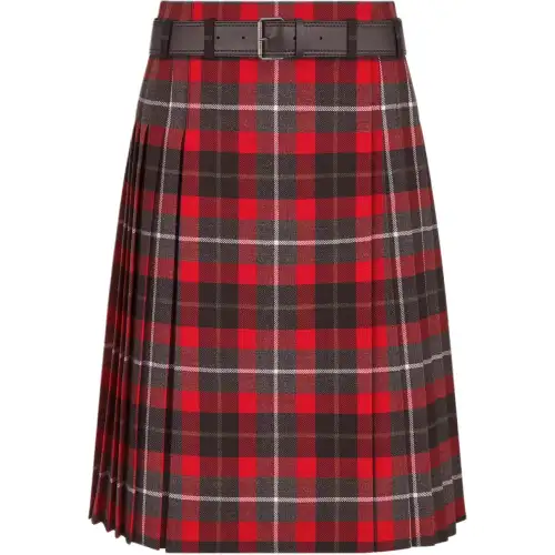 DIOR SS25 Casual Long Skirt Women's Red Gray