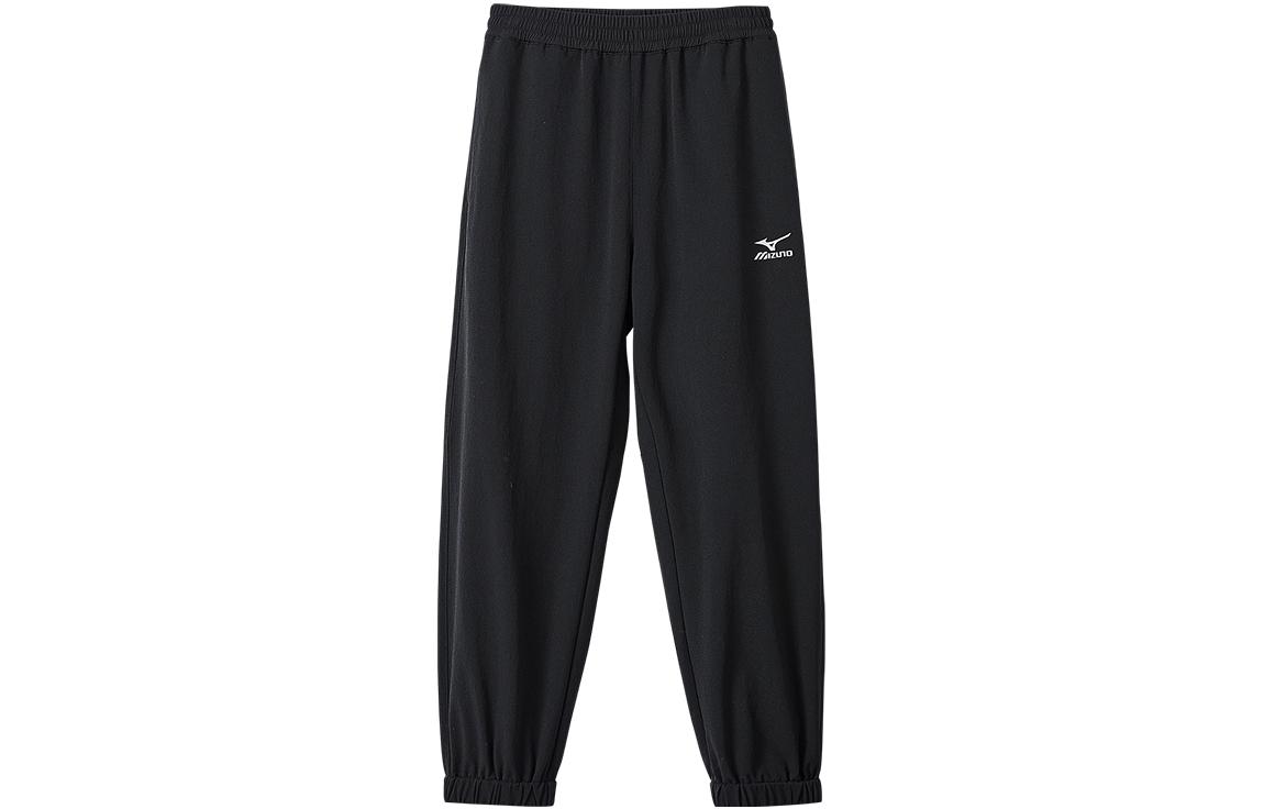 Мужские штаны Mizuno (синие)