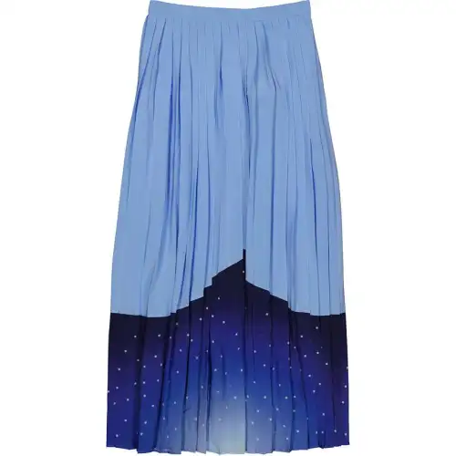 Burberry Casual Long Skirt Women's Blue