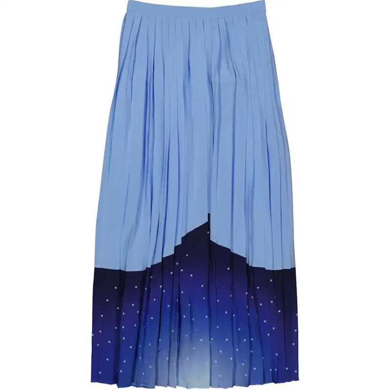 Burberry Casual Long Skirt Women's Blue