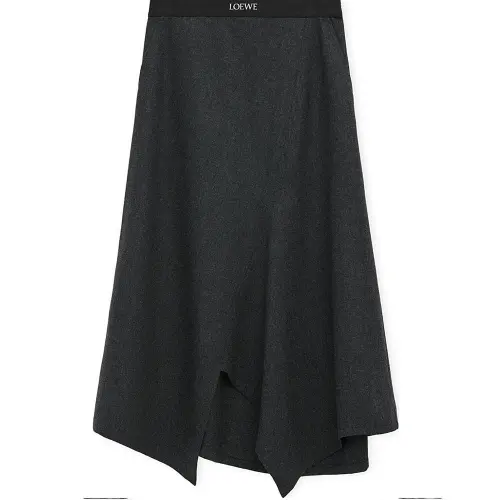 LOEWE SS25 Women's Pre Selection Collection Casual Long Skirt Women's Mixed Carbon