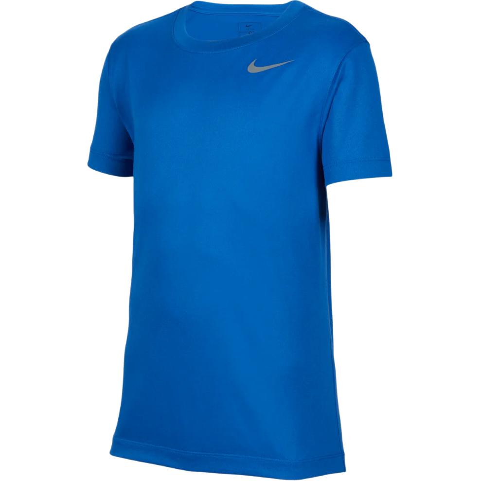 Мужские футболка Nike NikeTTeam Legend (синие)