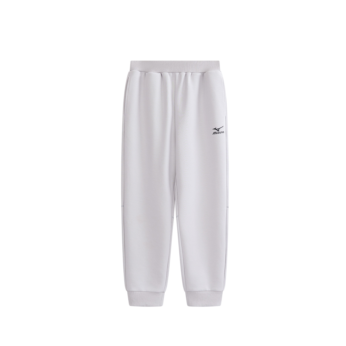 Унисекс штаны Mizuno Mizuno Logo (однотонный)