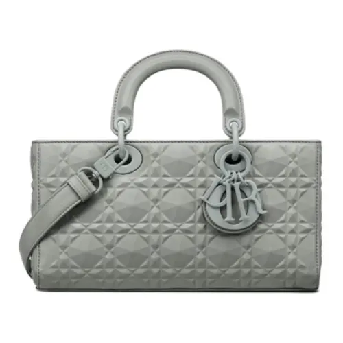 DIOR Cow Leather Handbag Women's Gray