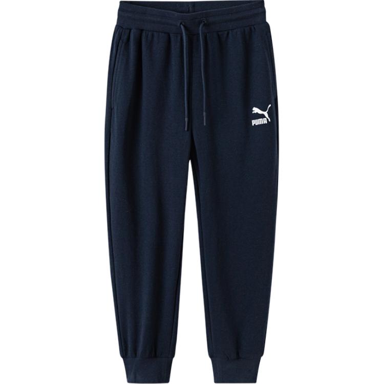 Брюки PUMA Sportstyle (фиолетово-синие)