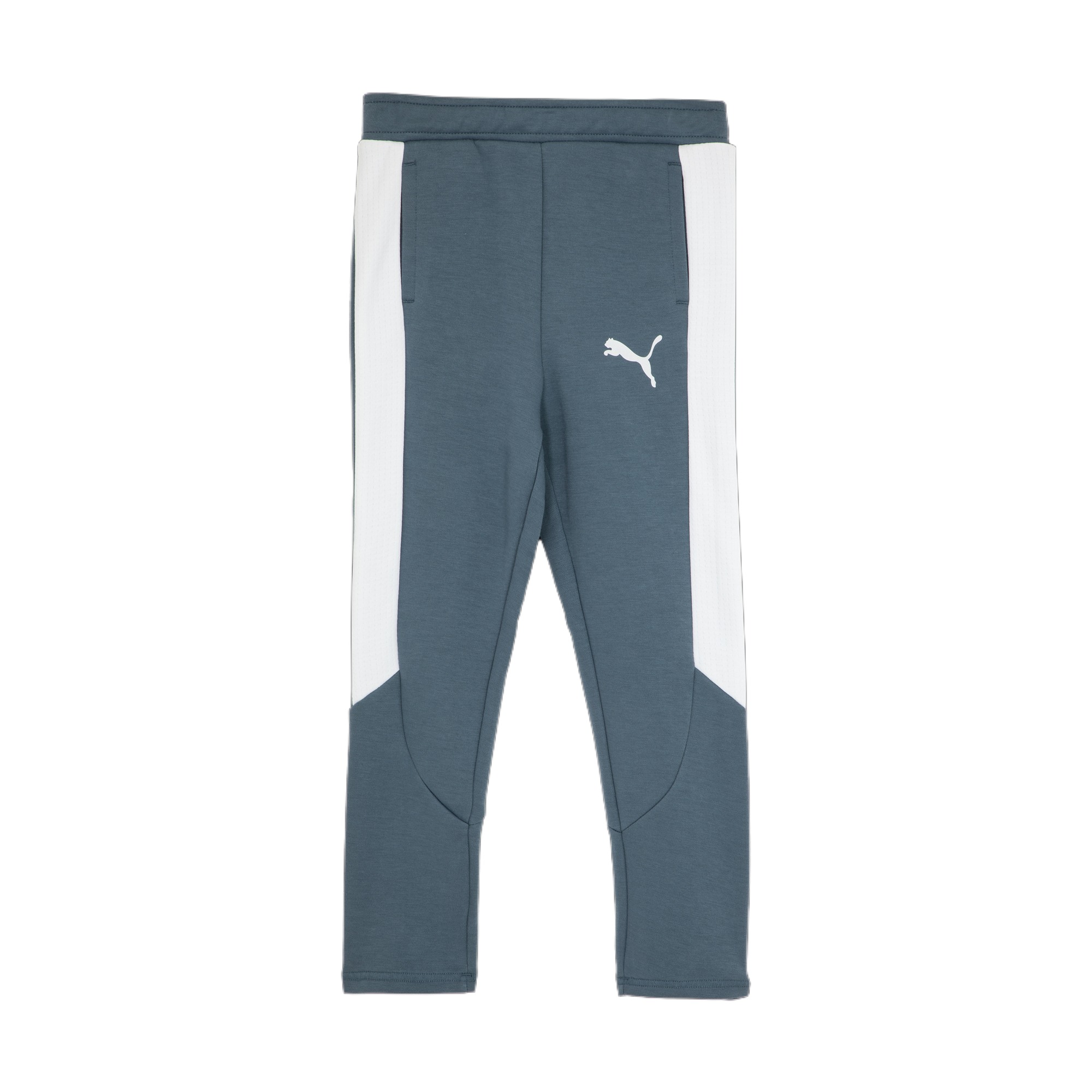 Мужские штаны PUMA EVOSTRIPE (синие)