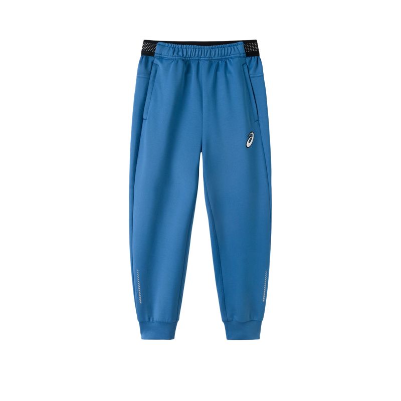 Категория: штаны ASICS Sweatpants (синие)