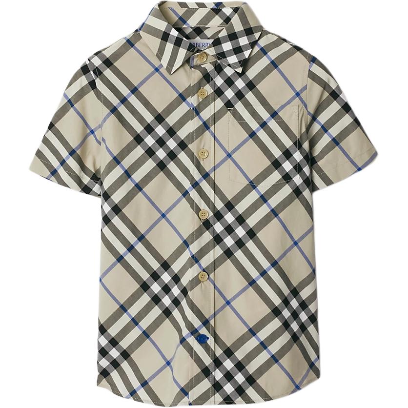 Рубашка Burberry 80925021 (зеленая)