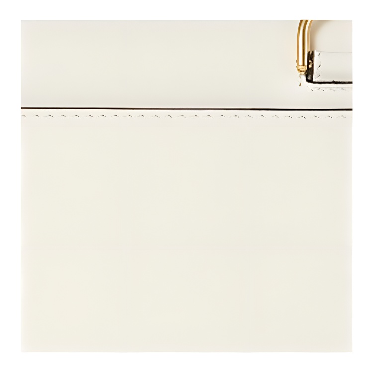 Женская сумка Fendi Baguette (белая) — фото 6