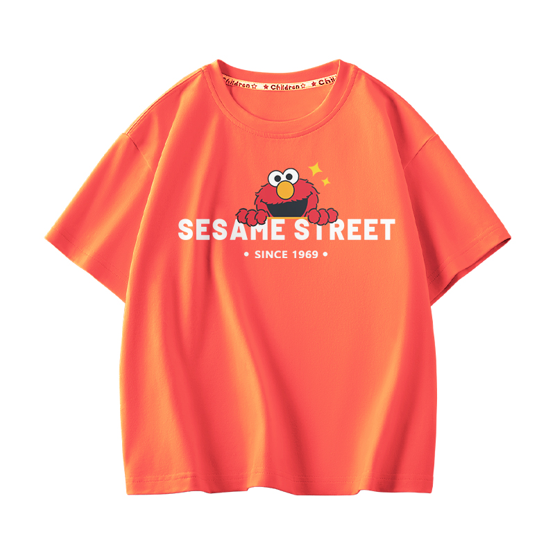 Футболка SESAME SESAME STREETT (разноцветный)