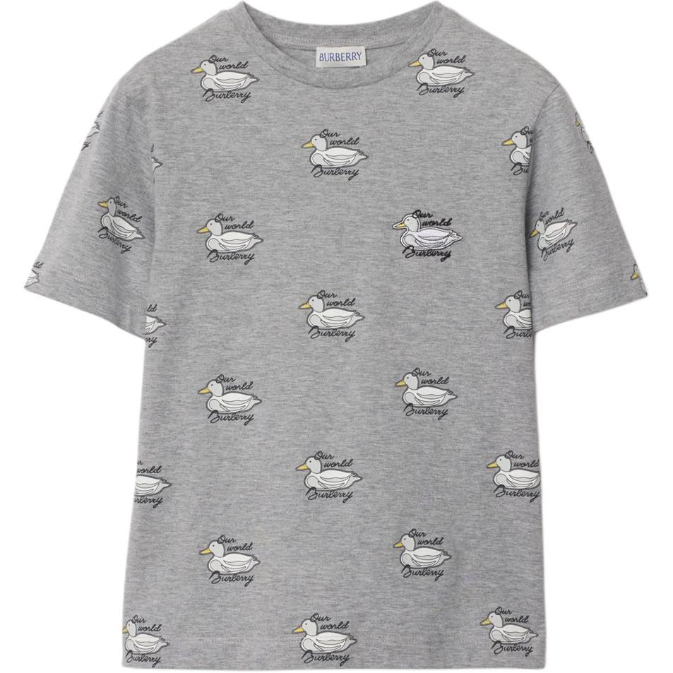 Мужская футболка Burberry T-shirt FW24 (светло-серая)