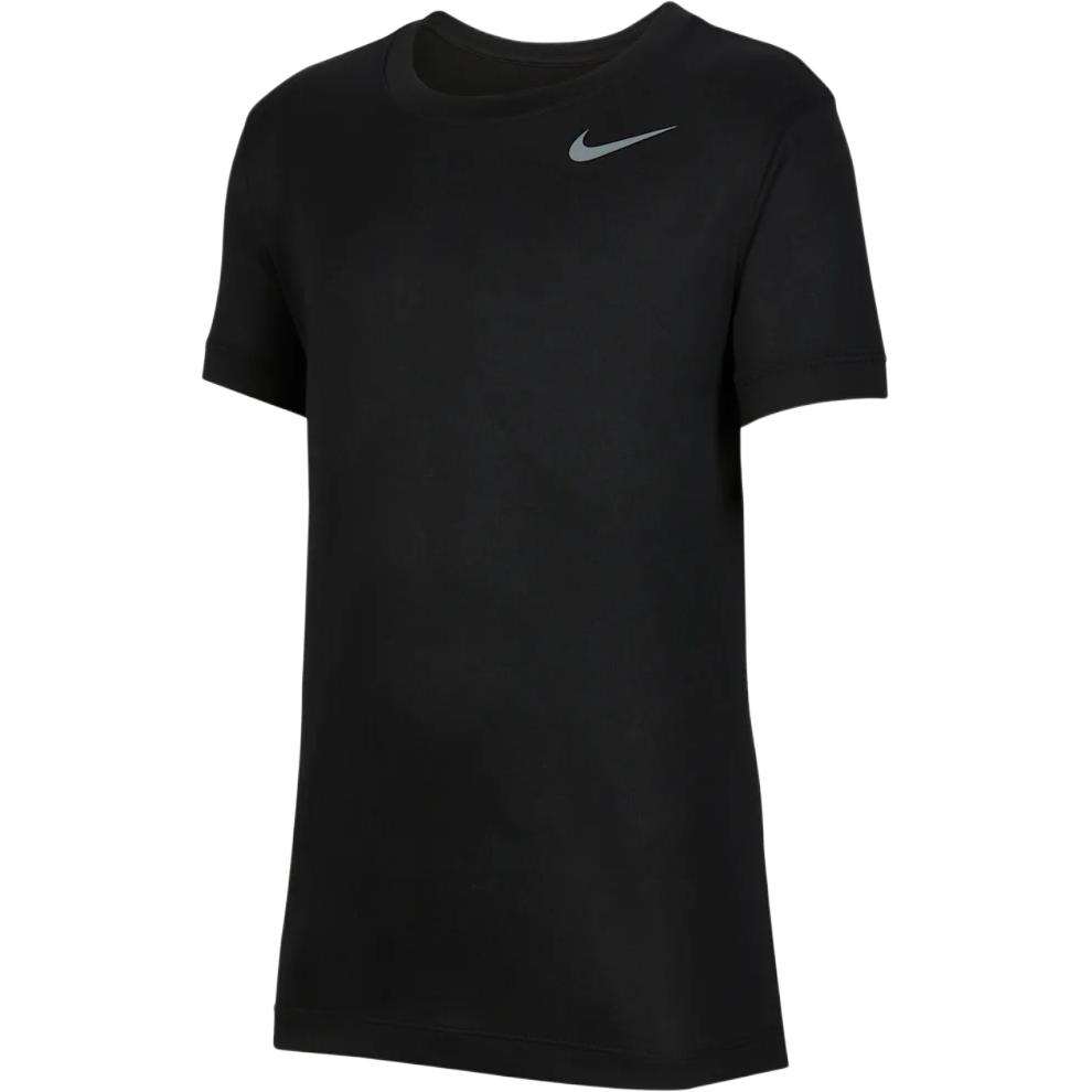 Мужская футболка Nike NikeTTeam Legend (черная)