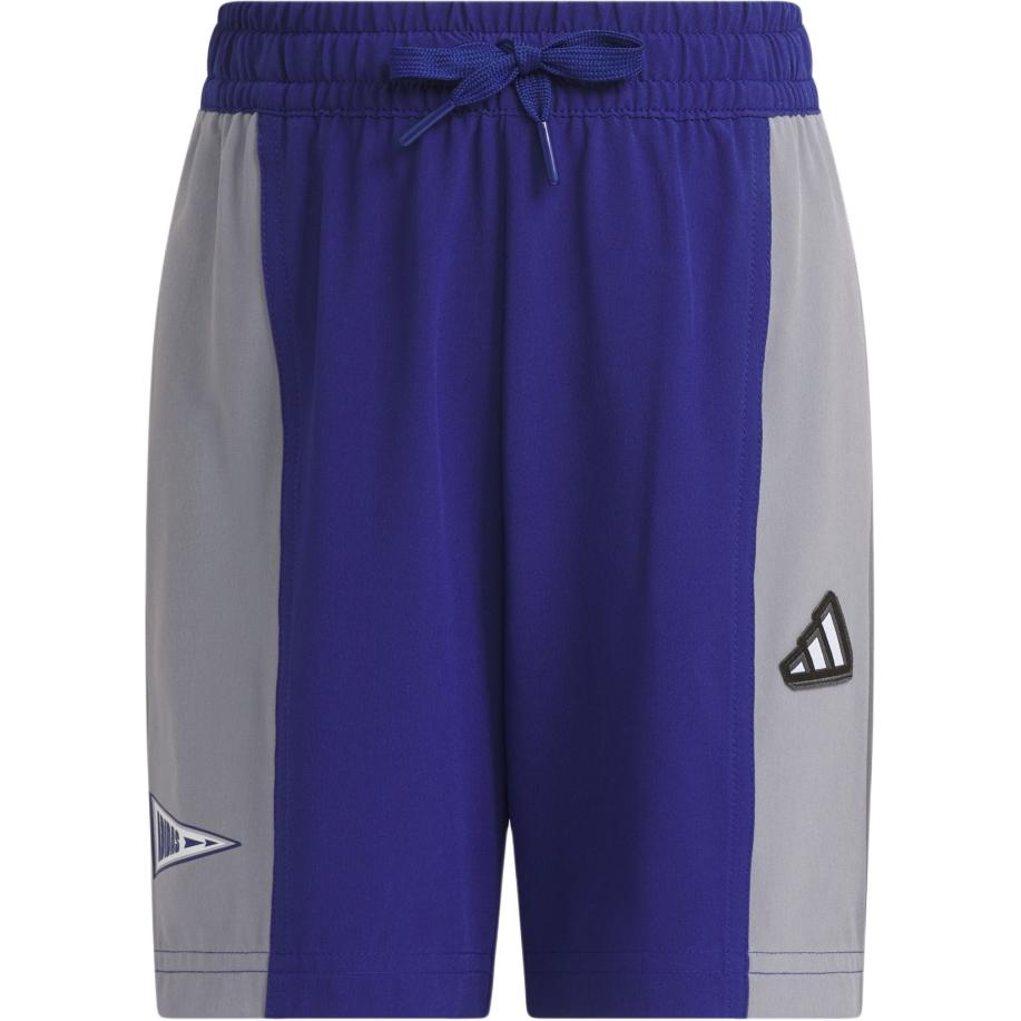 Мужские шорты adidas adidas / (сине-серая)