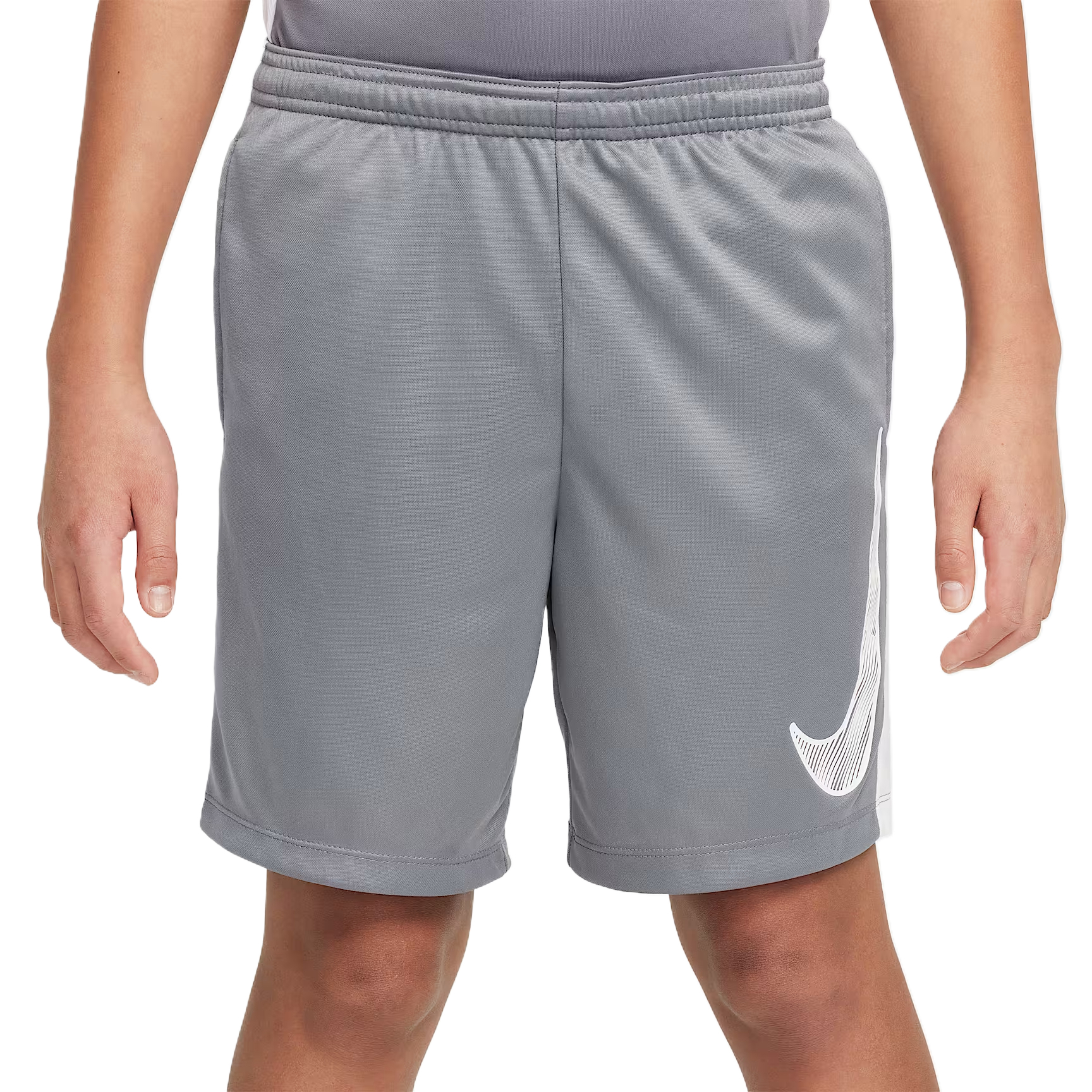Мужские шорты Nike Dri-Fit Trophy23 (серые)