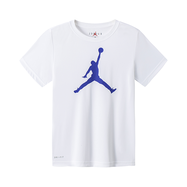 Мужская футболка Jordan T (бело-синяя)