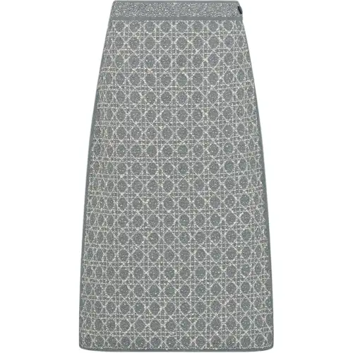 DIOR FW25 Casual Long Skirt Women's Gray