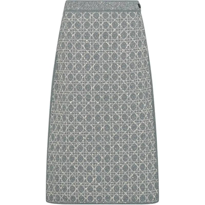 DIOR FW25 Casual Long Skirt Women's Gray