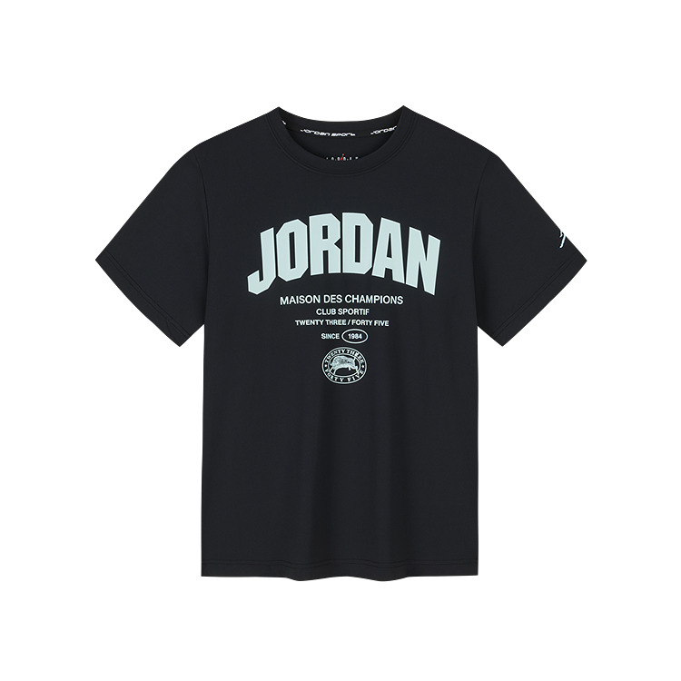 Мужская футболка Jordan (синяя)