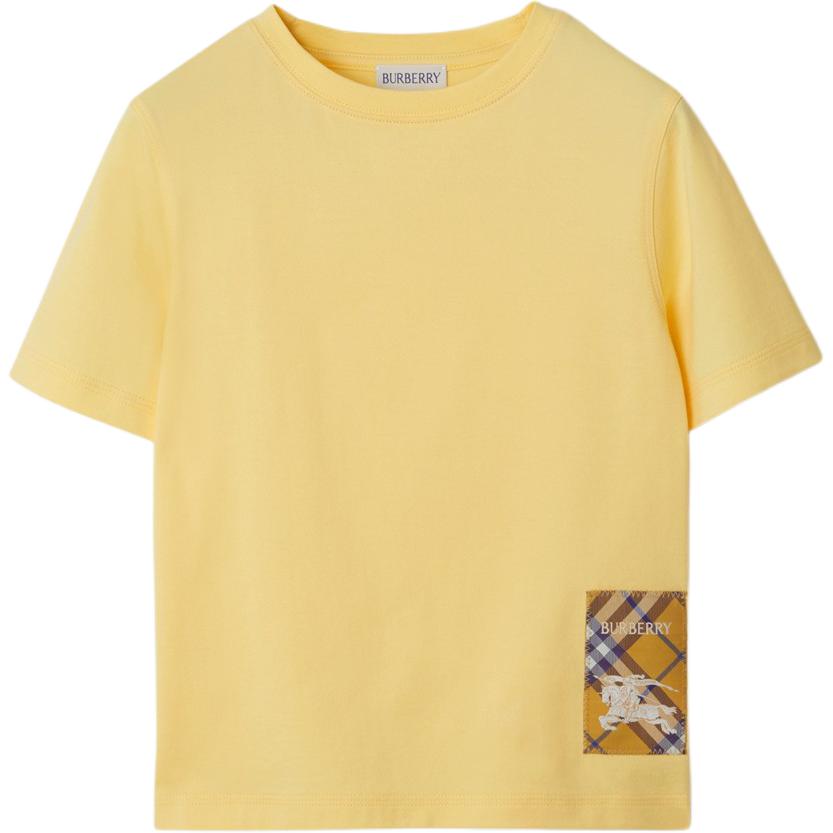 Мужская футболка Burberry С логотипом (желтая)