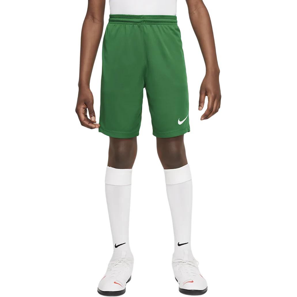 Мужские шорты Nike (зеленые)