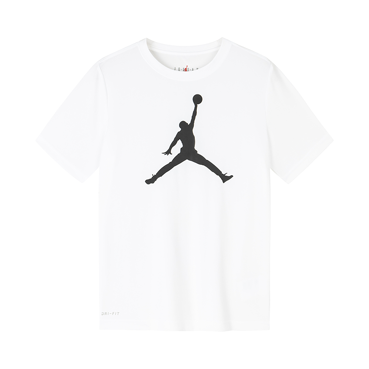 Мужские футболка Jordan JordanTLOGO (белая)