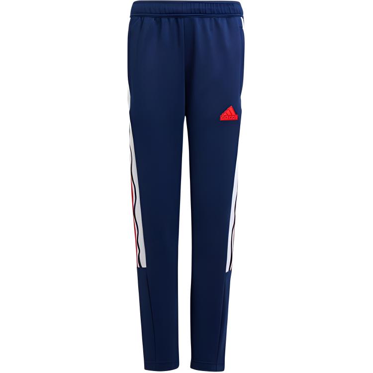 Штаны adidas (синий)