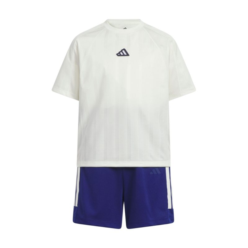 Мужской костюм adidas Climacool (бело-синий)