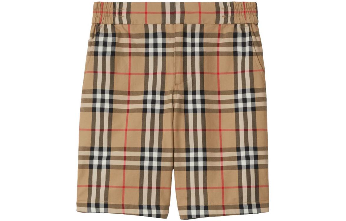 Женские штаны Burberry FW23 (бежевые)