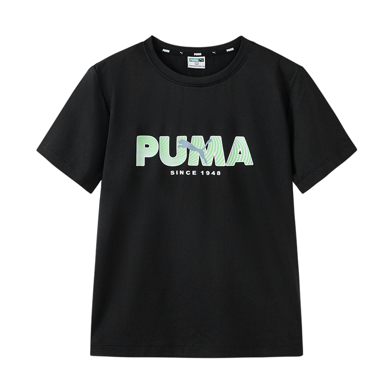 Футболка PUMA PerformanceT (черная)