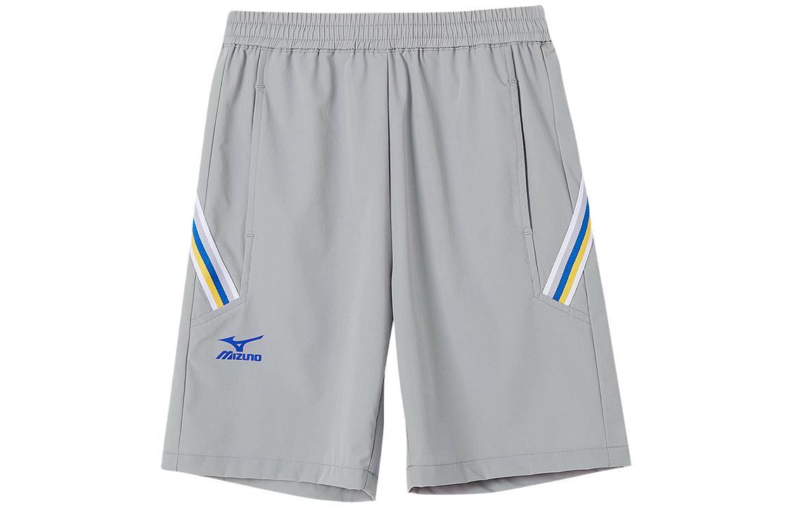 Мужские шорты Mizuno Детские (синие)