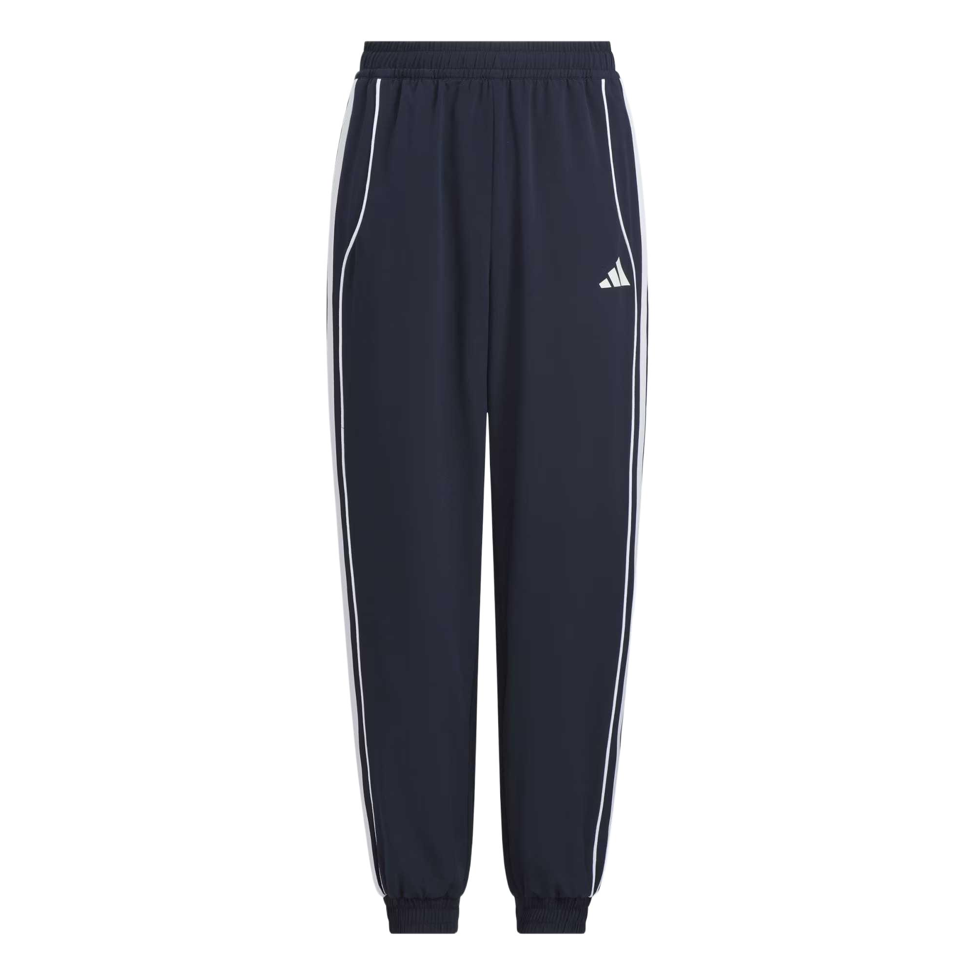 Мужские штаны adidas adidas ClimacoolCOLD.RDy / (сине-белые)