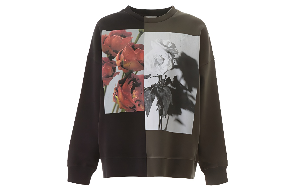 Женский свитшот Alexander McQueen (разноцветный)