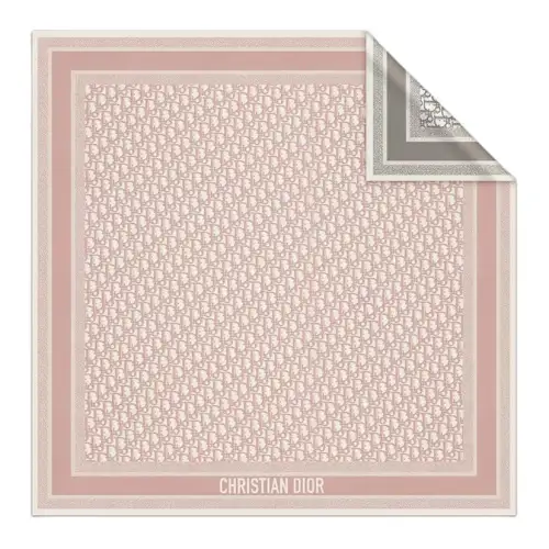 DIOR Scarves Women's Pink/Gray