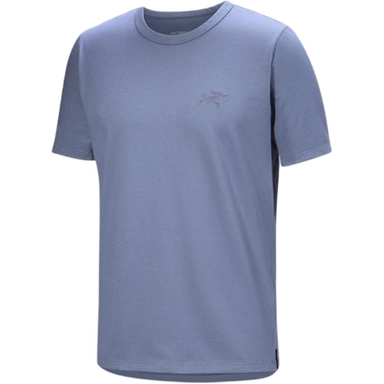 Мужская футболка Arcteryx CAPTIVE Arc'Word (серая)