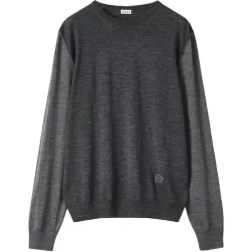 LOEWE Sweaters Men's Gray Crew Neck Moderate Other