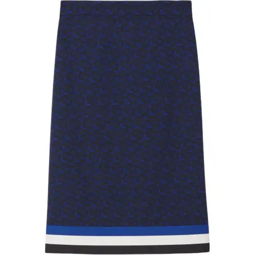 Burberry Casual Long Skirts Women's Blue Moderate Mid Length Other