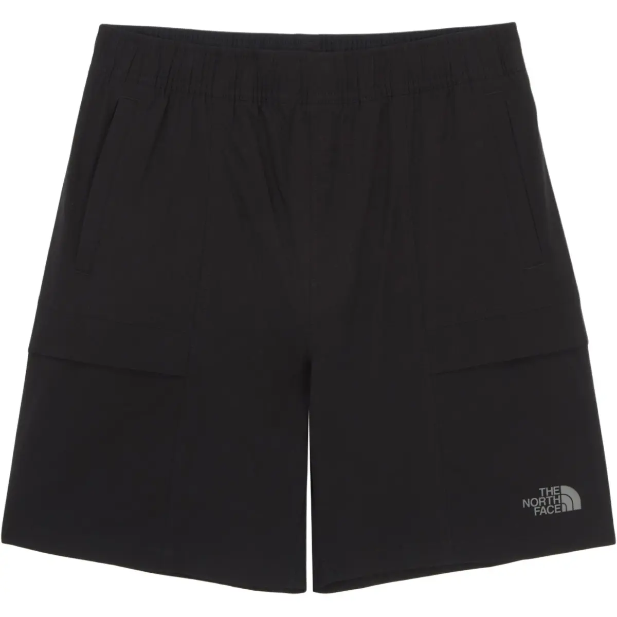 THE NORTH FACE ICEDAY Casual Shorts Women's Black