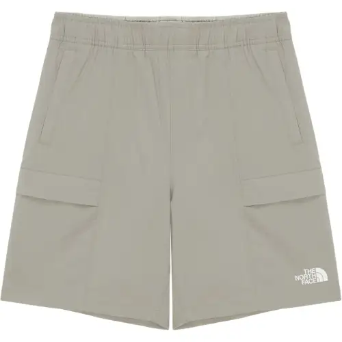 THE NORTH FACE ICEDAY Casual Shorts Women's Gray Beige