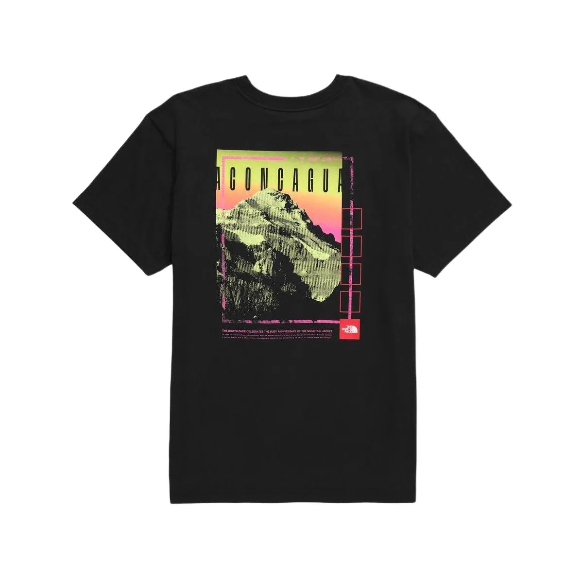 The North Face aconcagua-graphic T-shirt