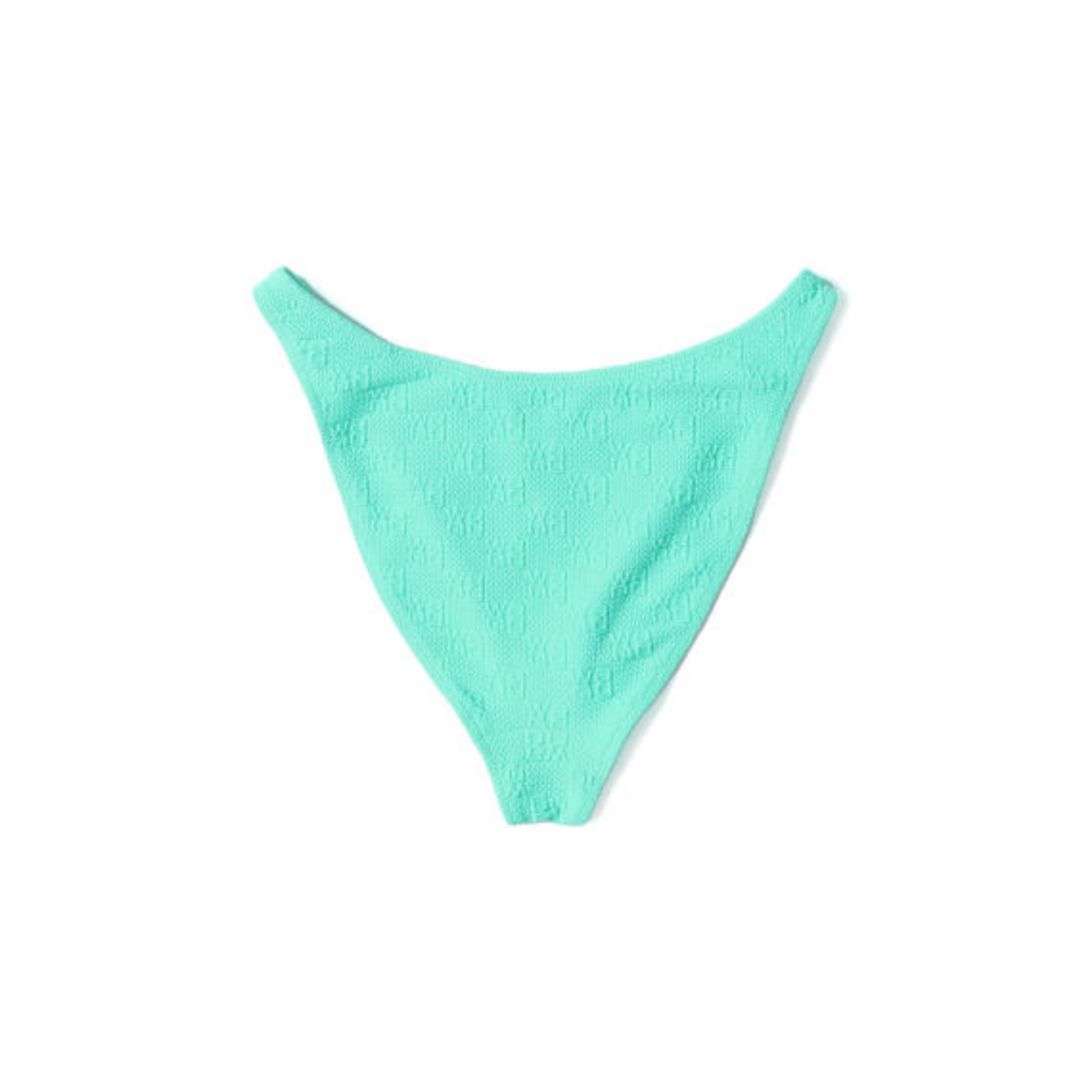 Alexander Wang High-Waisted Bikini Bottom
