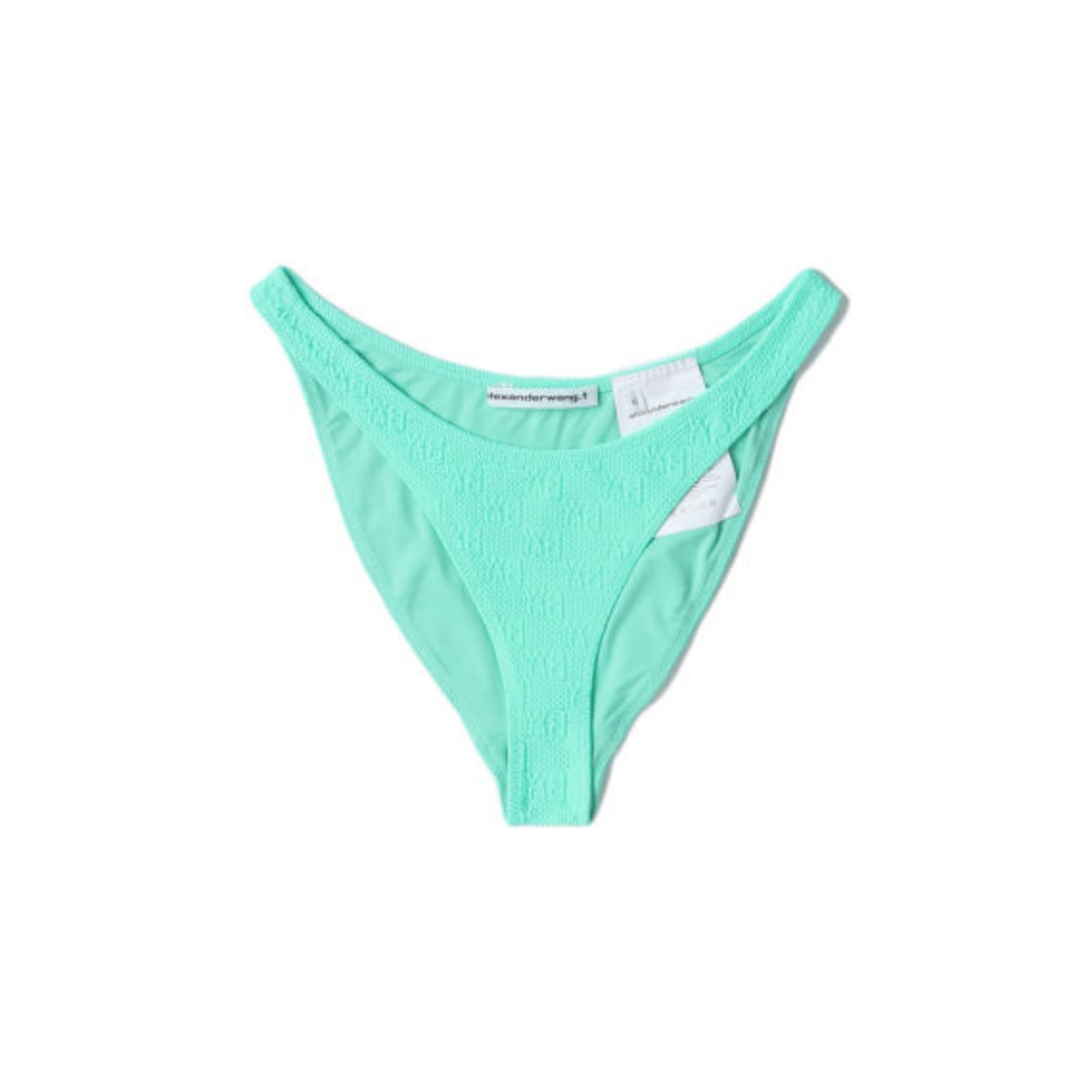 Alexander Wang High-Waisted Bikini Bottom