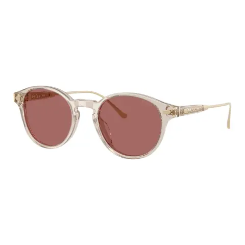 COACH Acetate Metal Irregular Shape Sunglasses Women's Transparent Sand