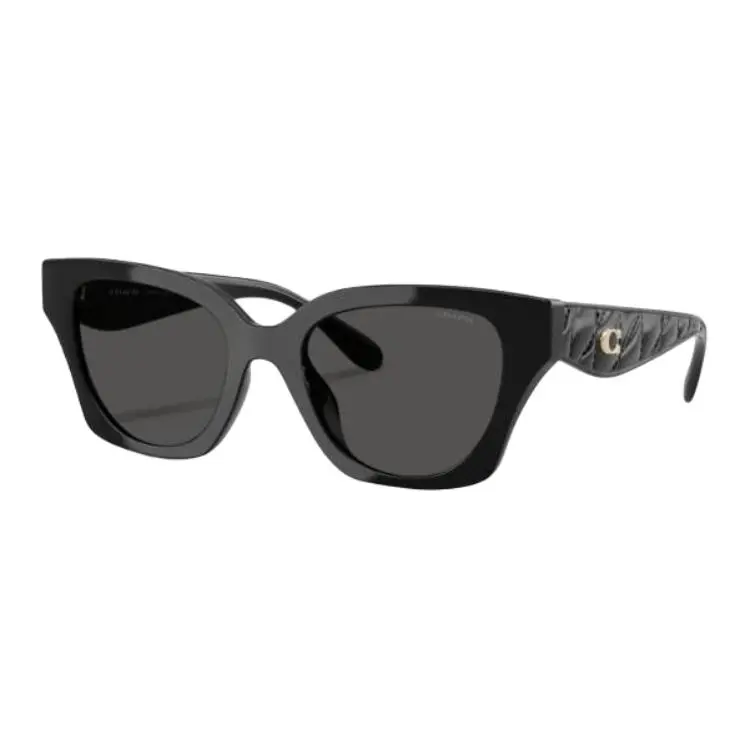 Coach cat-eye sunglasses