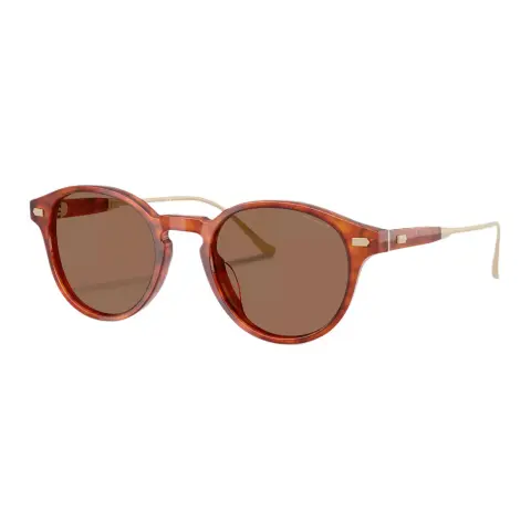 COACH Irregular Shape Sunglasses Women's Tortoiseshell