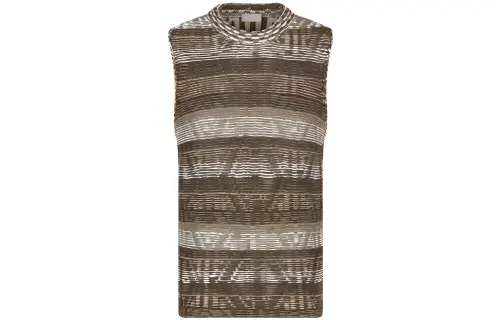 DIOR T Shirts Men's Brown Crew Neck Moderate Straight Fit