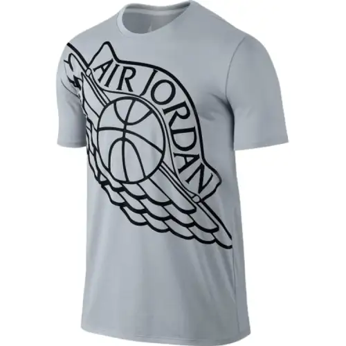 Jordan Apparel T Shirts Men's Blue Gray Crew Neck