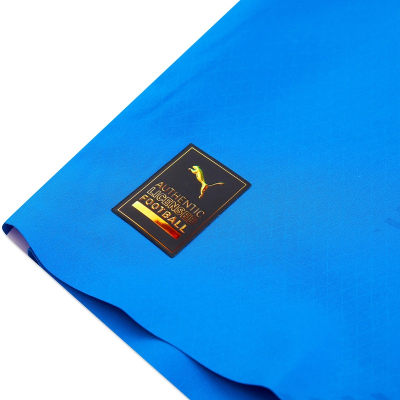 PUMA 2022 23 Manchester City Player Issue GK Shirt Soccer Jersey Unisex Blue